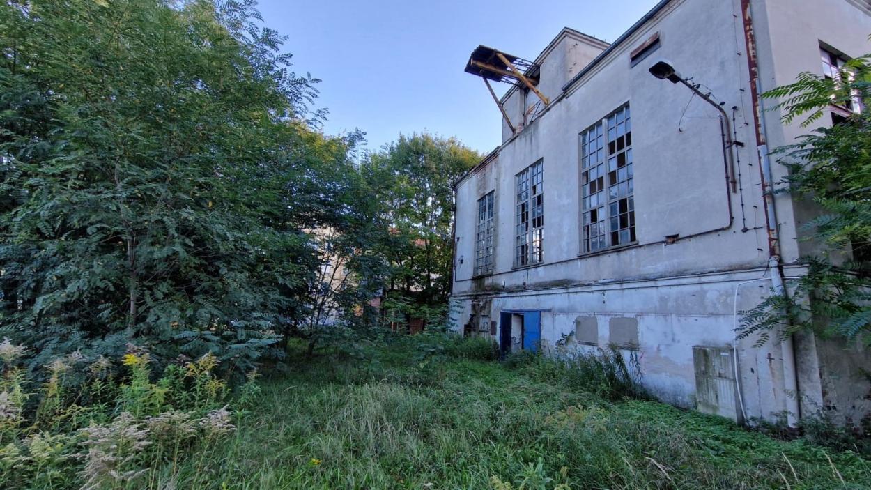 An old building surrounded by greenery