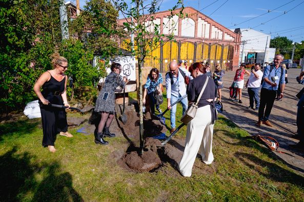 a color photo of people planting a tree