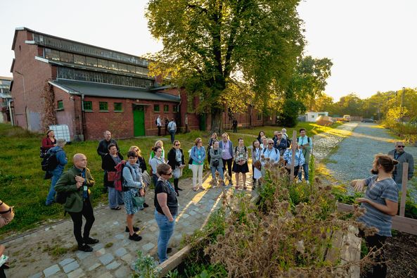 a color photo of people watching permaculture