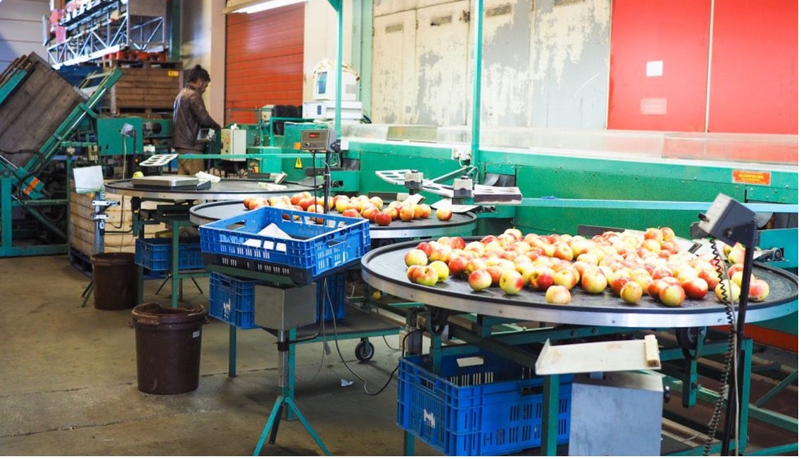 Logistics hub for local producers at the historic Droixhe morning bulk market (photo credit- ville de Liège)