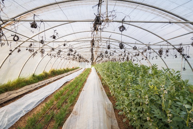 Municipal farms in Mouans-Sartoux. Source: URBACT  