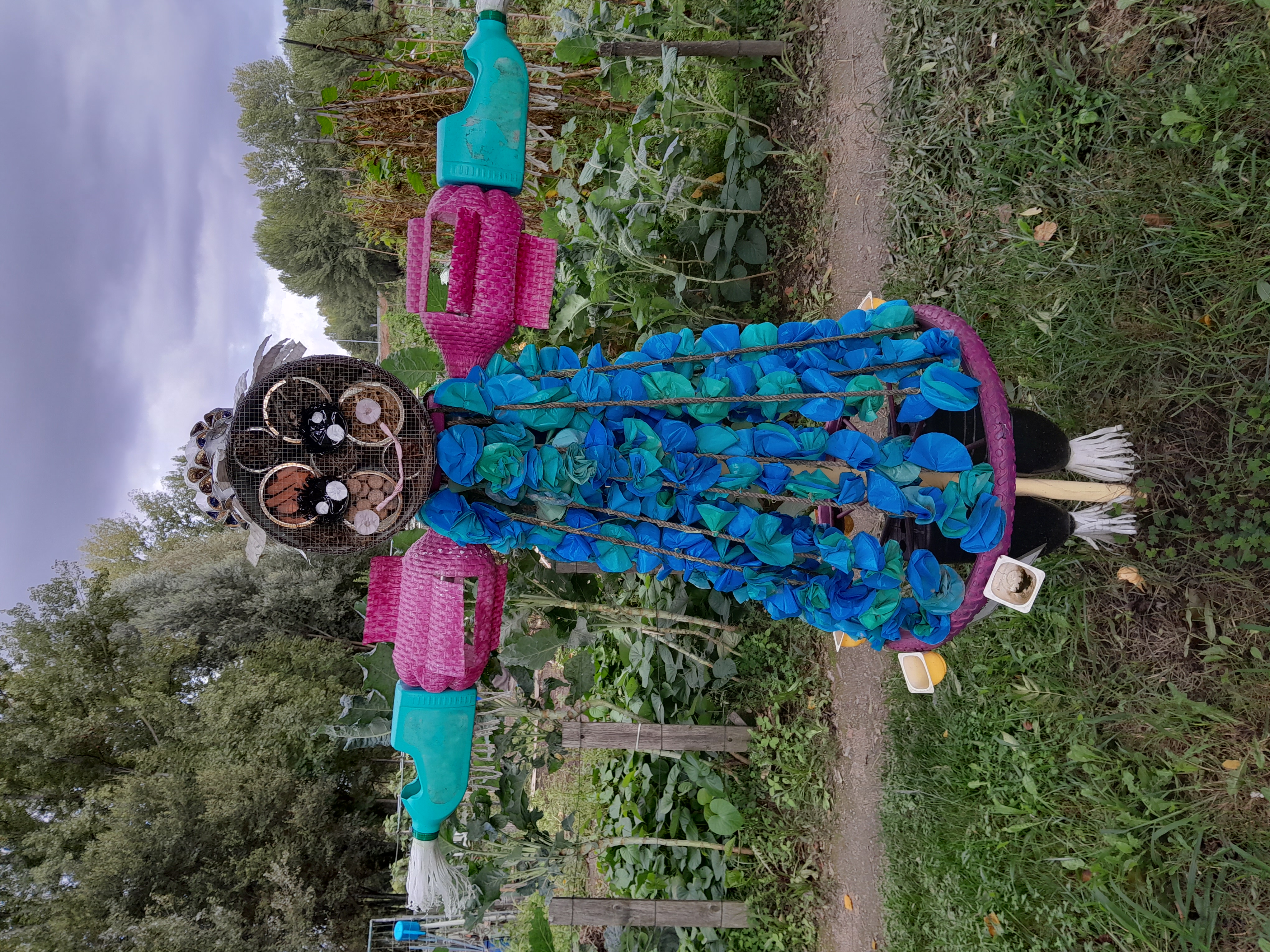 Community garden as nature-based solutions provide a great opportunity to talk about agroecology and soil biodiversity (Guimarães, Portugal)