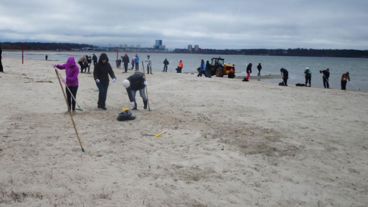 Spring Clean Up Campaign in Tallinn (EE)