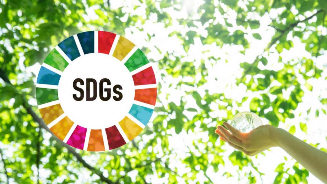 Localising SDGs