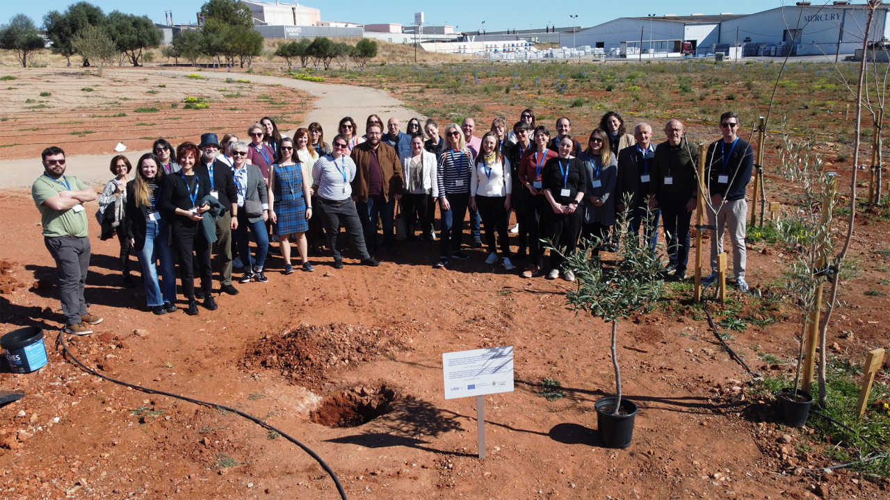 A group of people standing behind an olive tree to be planted