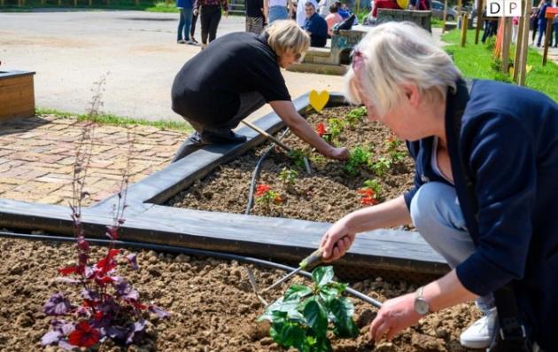 People cultivating a vegetable garden