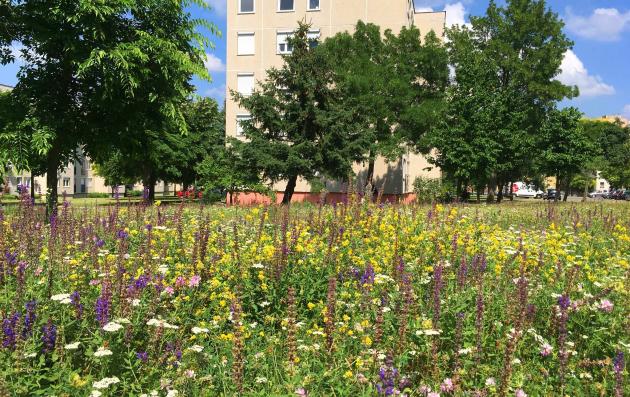 Urban living and natural beauty, highlighting the importance of green spaces within city environments.