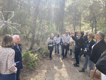 A group of people standing in the forest in front of an art installation depicting a spider